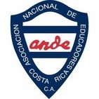 Logo ANDE